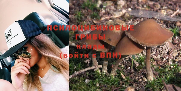 соль ск Алзамай