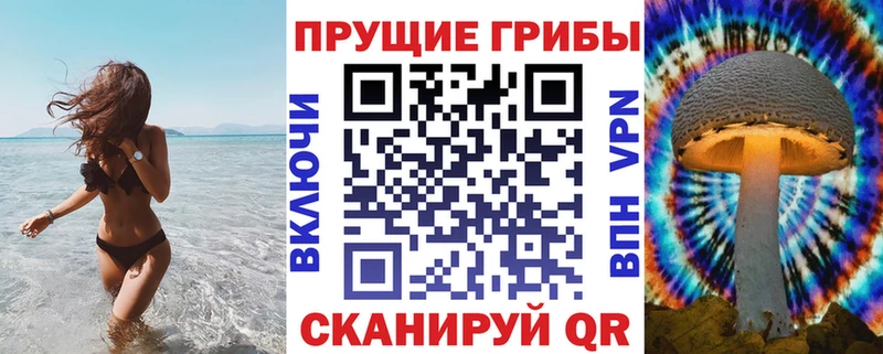 Псилоцибиновые грибы Cubensis  где продают   Цивильск 
